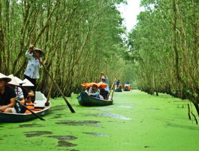 Tra Su Sanctuary bird 1 day tour with motorbike and sampan