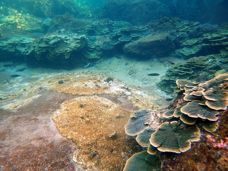 Tho Chu Island 3