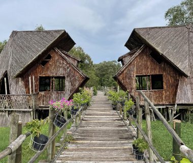 Tra Su Cajuput Forest